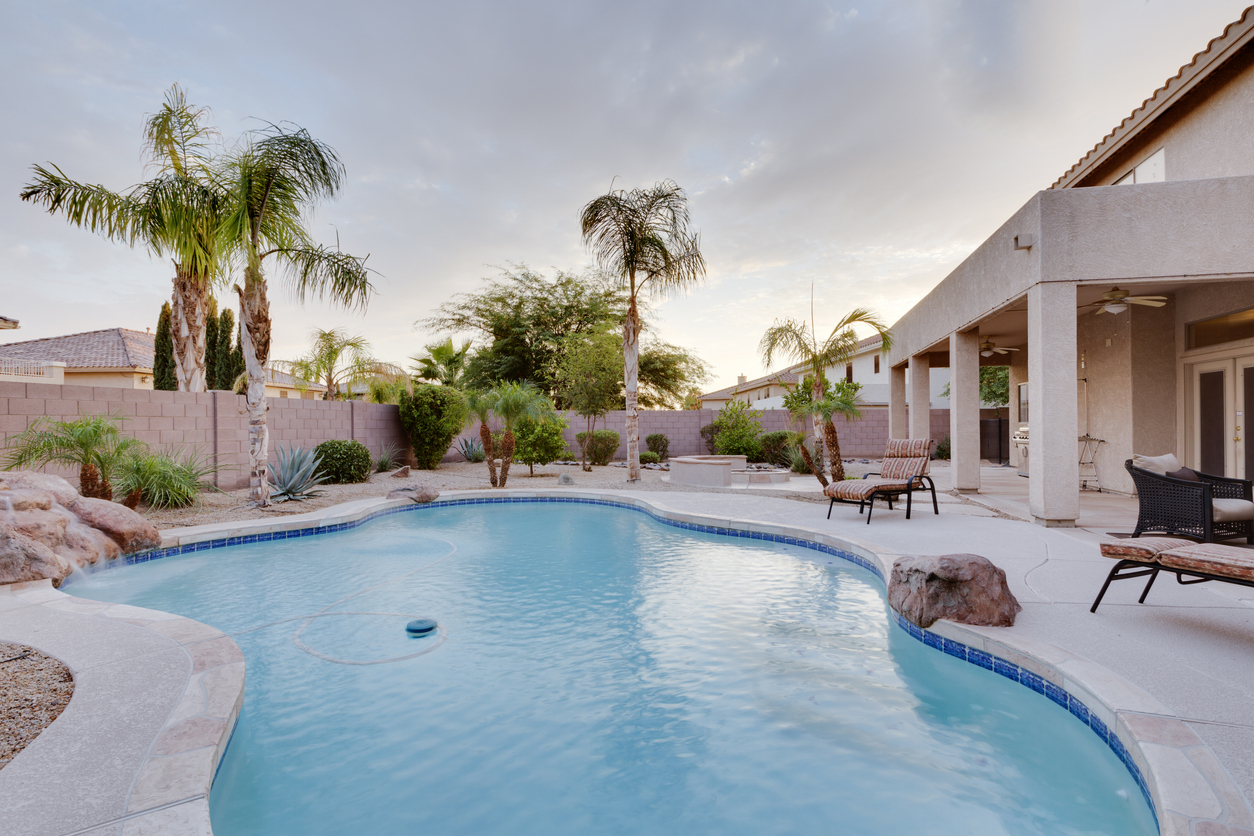 Clean Pool in Backyard